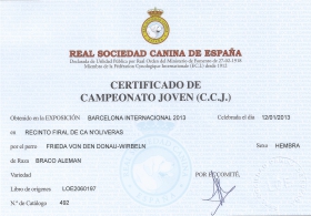 Certificado CCj
